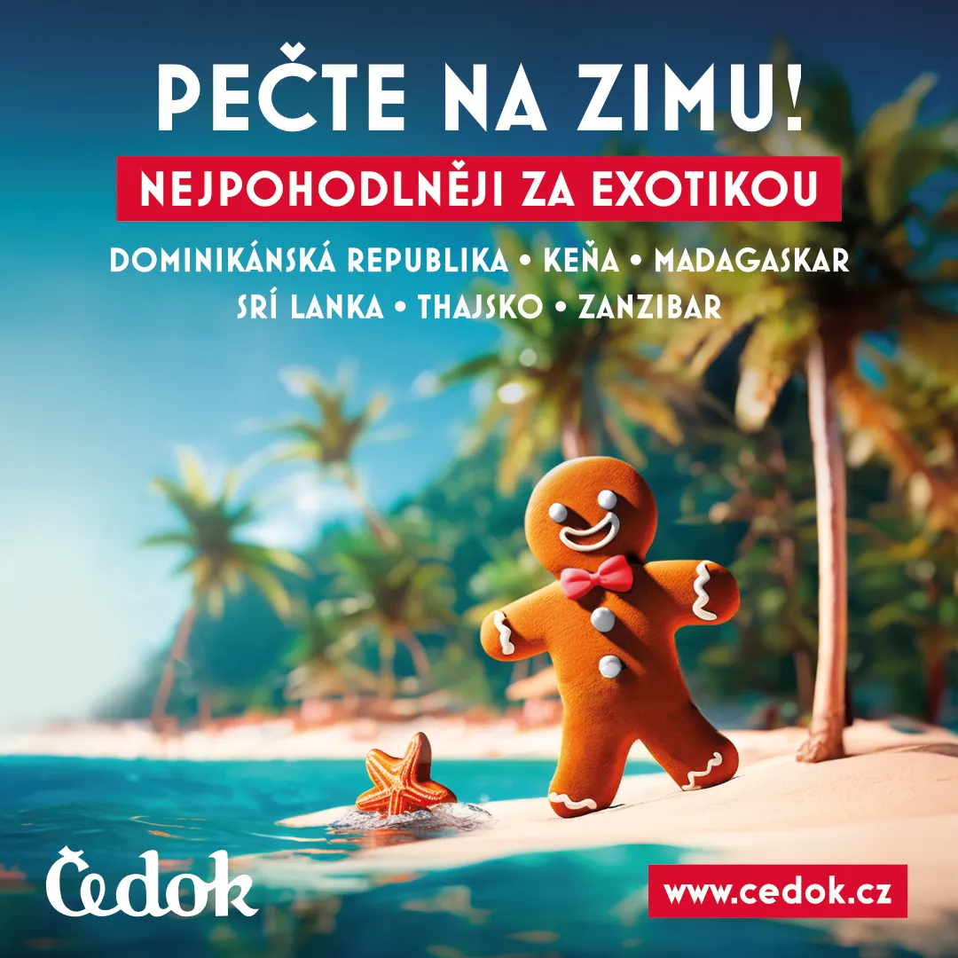 Perníček na pláži - Pečte na zimu