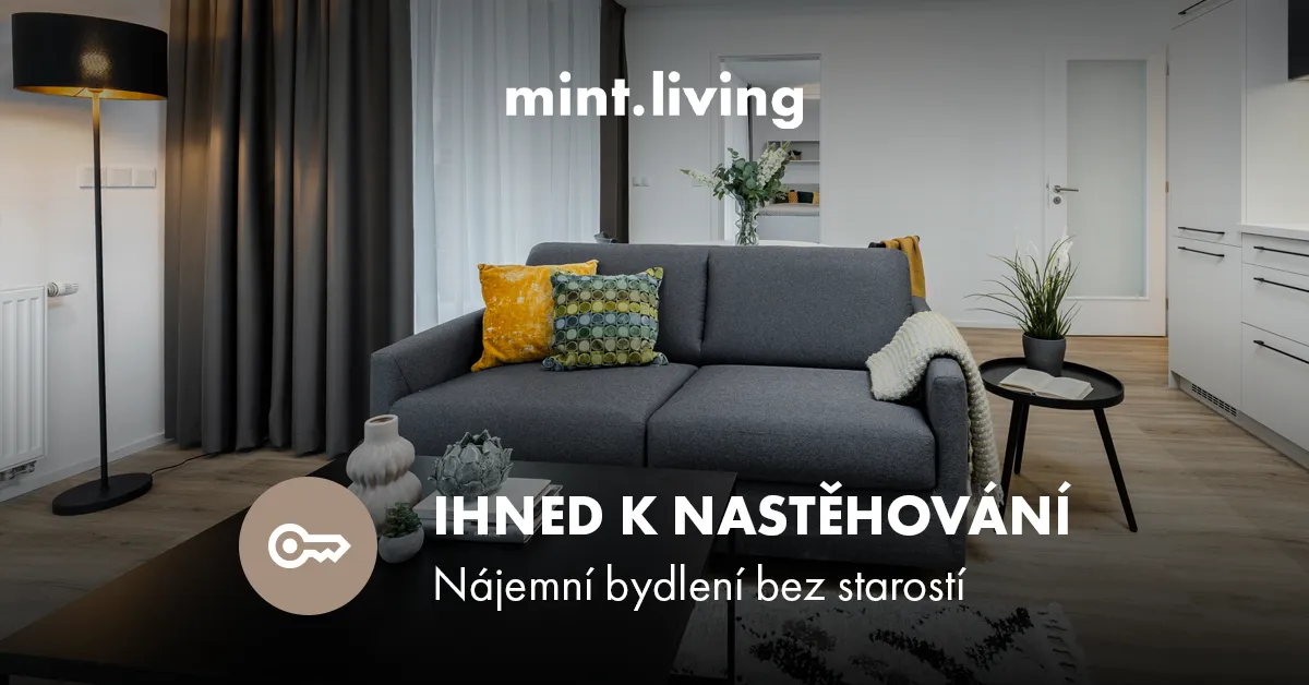 Mint Living PPC banner