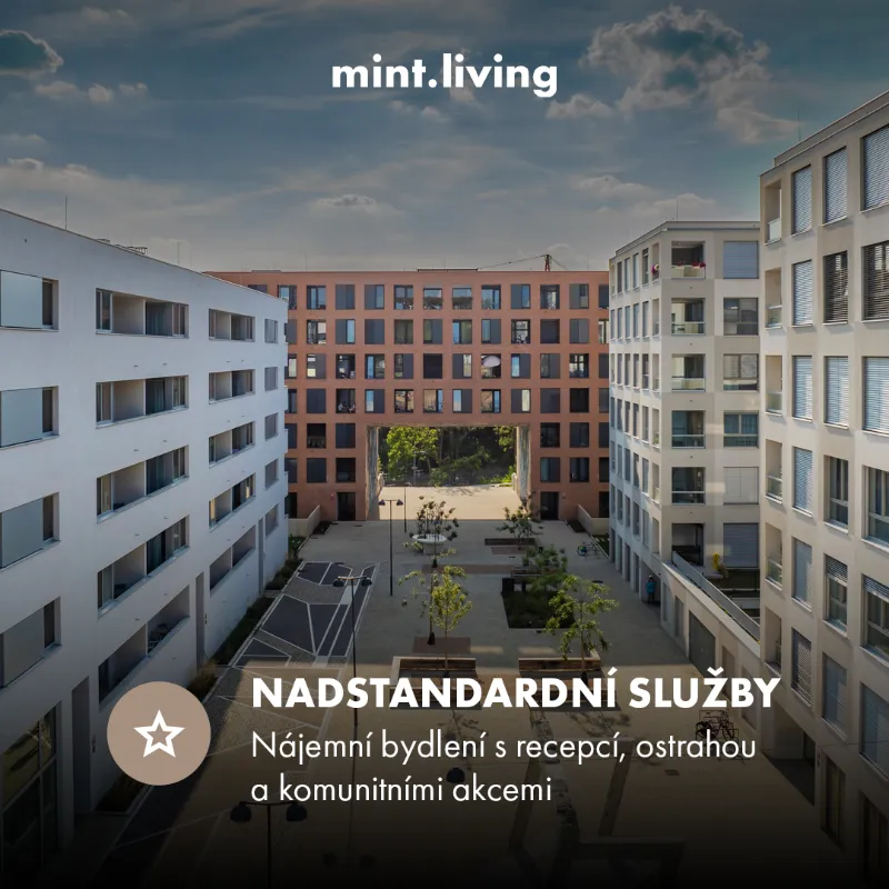 Mint Living příspěvek na sociální sítě