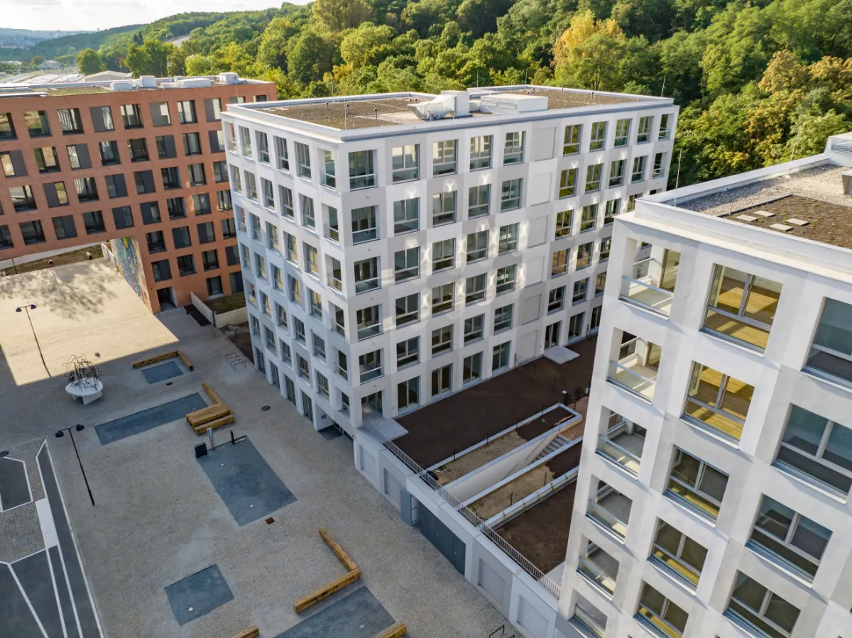 Mint Living - Případová studie
