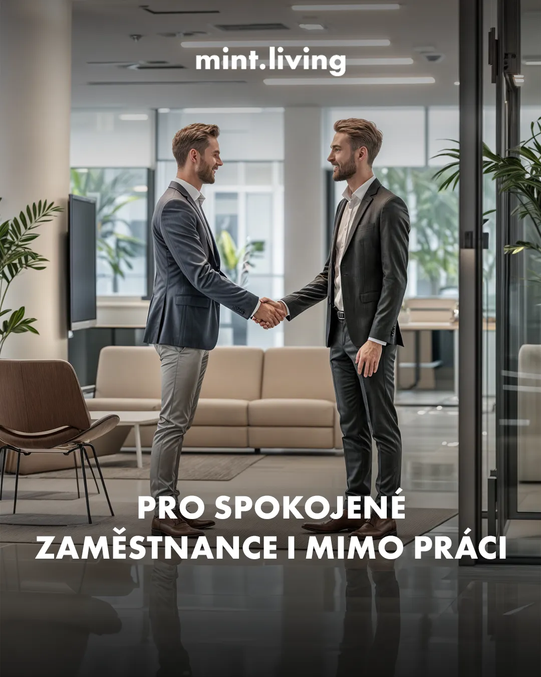 Mint Living - LinkedIn reklama